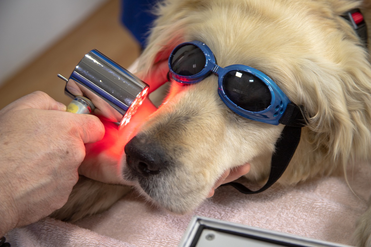 dental-laser-treatment
