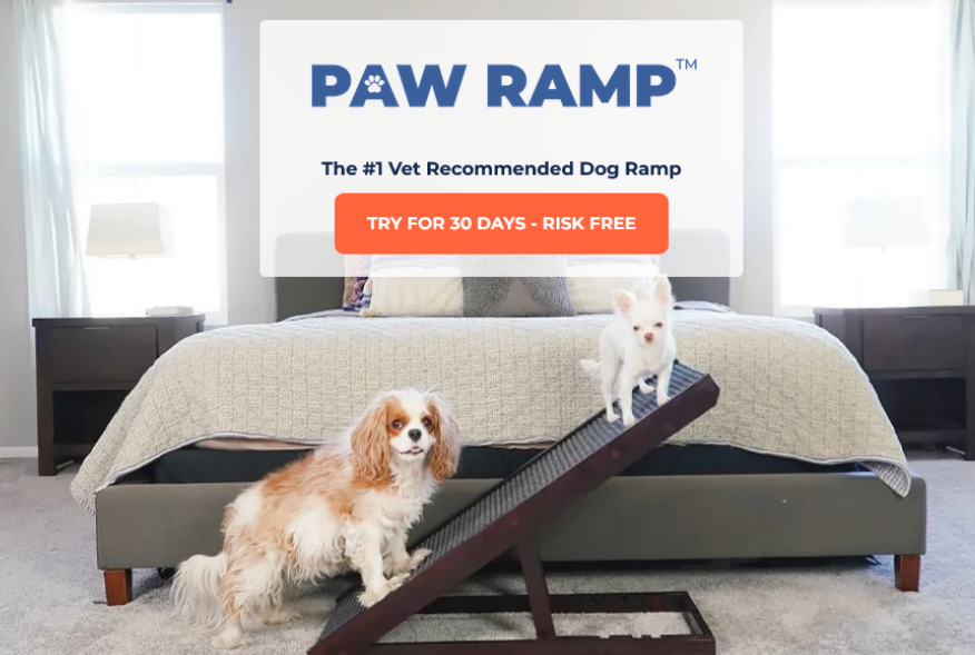 vet approved dog ramp